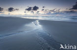 Noordzee