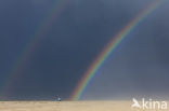 Noordzee