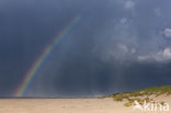 Noordzee