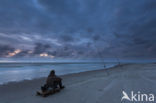 Noordzee