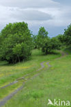 Parc naturel régional des Volcans d Auvergne