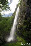 Parc naturel régional des Volcans d Auvergne