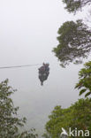 Parque Nacional Monteverde