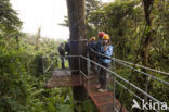 Parque Nacional Monteverde