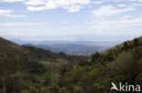 Parque Nacional Monteverde