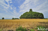 Tumulus van Glimes