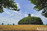 Tumulus van Glimes