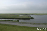 Ameland