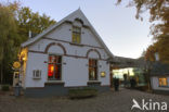 Bergherbos