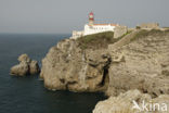 Cabo de Sao Vicente