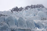 Chauveaubreen gletsjer