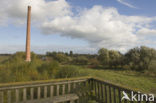 Duursche waarden