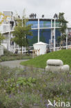 Floriade 2012