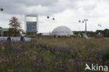 Floriade 2012