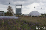 Floriade 2012