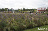 Floriade 2012