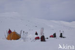 Hardangervidda National Park