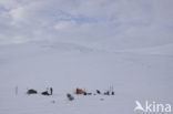 Hardangervidda National Park