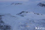 Hardangervidda National Park