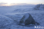 Hardangervidda National Park