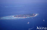 Indian Ocean