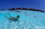 Kuredu Island Resort