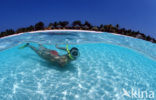 Kuredu Island Resort