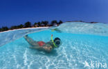 Kuredu Island Resort