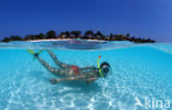 Kuredu Island Resort
