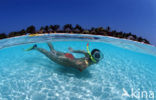Kuredu Island Resort