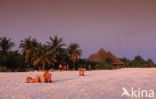 Kuredu Island Resort