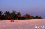 Kuredu Island Resort
