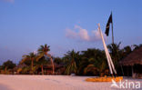 Kuredu Island Resort