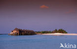 Kuredu Island Resort