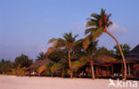 Kuredu Island Resort