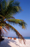 Kuredu Island Resort
