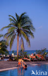 Kuredu Island Resort