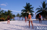 Kuredu Island Resort