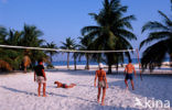 Kuredu Island Resort