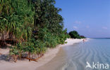 Kuredu Island Resort
