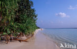 Kuredu Island Resort
