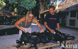 Kuredu Island Resort