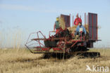 Lage land van Texel