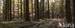 National Park Sallandse Heuvelrug