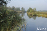 National Park Weerribben-Wieden