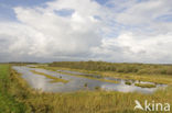 National Park Weerribben-Wieden