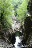 Natuurpark Rakov Skocjan