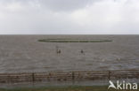 Noord Friesland Buitendijks