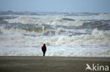 Noordzeestrand