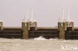 Oosterscheldedam